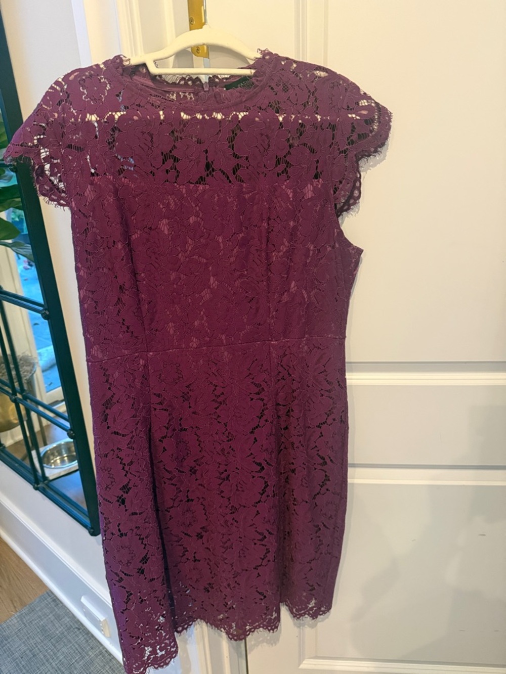 Lace Cap-Sleeve Sheath Dress in Plum/Purple size XL